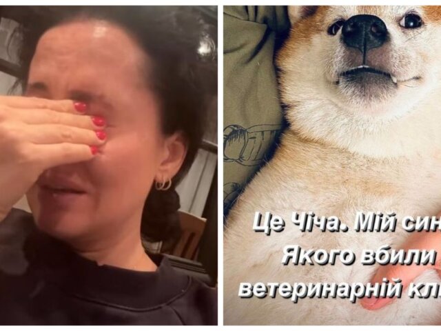 Даша Астафьева в слезах сообщила о смерти любимца
