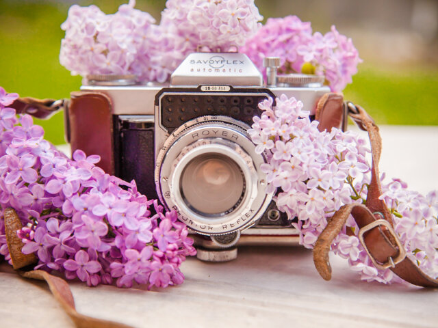 Beautiful-lilacs-in-a-still-life-photos-01