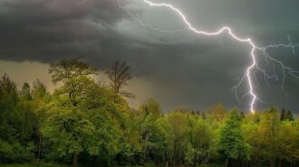 В Украине ожидаются дожди и грозы: синоптик рассказала, в каких областях страны ухудшится погода
