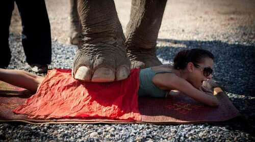 развод для туристов, мошенники