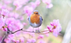 Прогноз погоди в Україні: Укргідрометцентр повідомив, яка погода в Україні