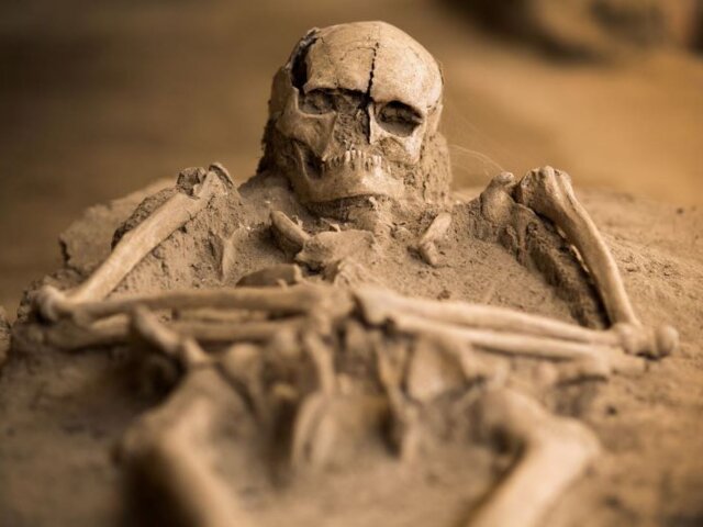 Археологи обнаружили в Греции скелеты со следами сложных хирургических операций