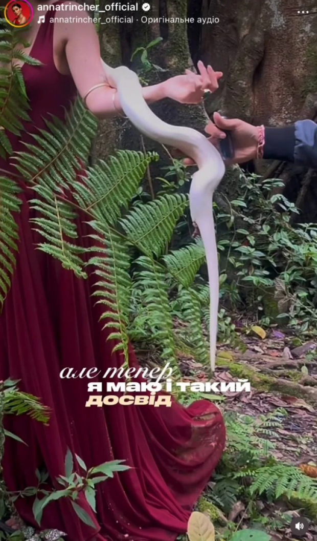 Скрін публікації Анни Трінчер
