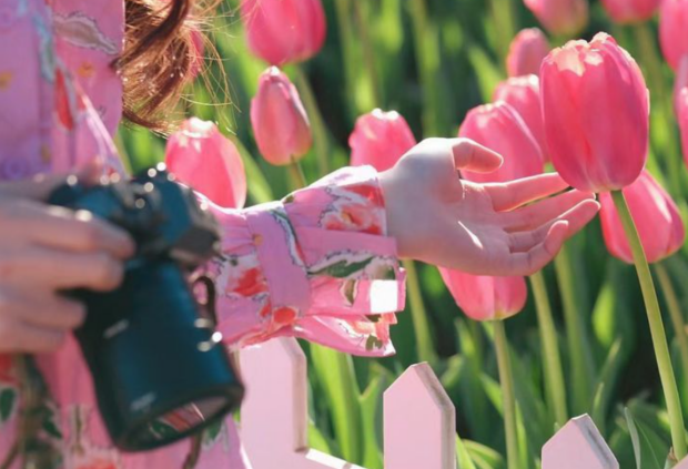 Гороскоп, тюльпаны, изображения: Pinterest