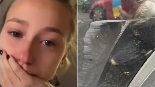 Молода дружина Віктора Павліка потрапила в ДТП