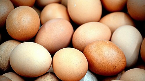 В Украине ожидается повышение цен на яйца: станут "золотыми"