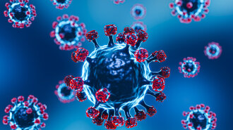 Новый штамм "Дельта Плюс": врач назвал симптомы коварной мутации вируса