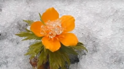 Погода, весна