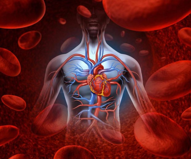 Сгущение крови может повлечь за собой серьезные проблемы со здоровьем