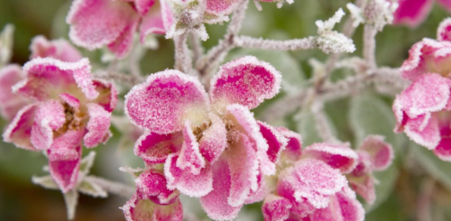 Похолодание, весна, погода, изображение из свободных источников