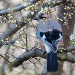 Весна, погода, фото із соцмереж