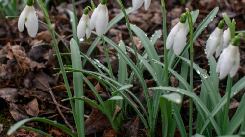 Весна, погода, фото: majborodinruslan1990/depositphotos