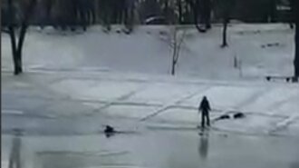 В Киеве собака провалилась под лед и ребенок бросился ее спасать (ВИДЕО)