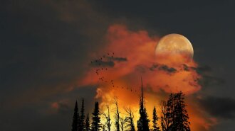 Peter Holme III Tutt’Art@ (41)