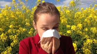 "Укол від амброзії": лікар розповіла, чи можна зробити щеплення від алергії
