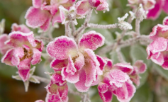 Похолодання, весна, погода, зображення з вільних джерел