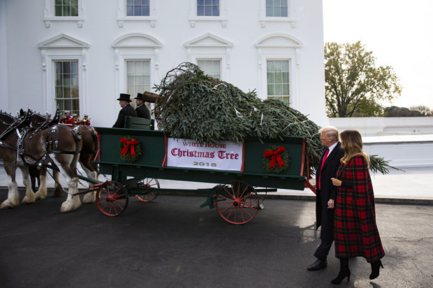 Дональд и Мелания Трамп встречают рождественскую елку во дворе Белого дома