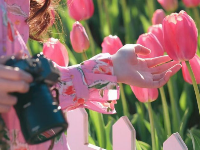 Гороскоп, тюльпаны, изображения: Pinterest