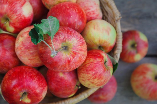 Полезные свойства яблок тоже оценили по достоинству