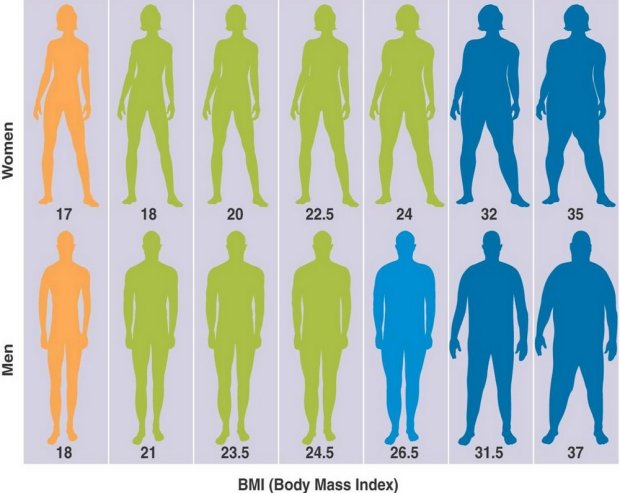 Таблица показателей индекса массы тела для женщин и мужчин