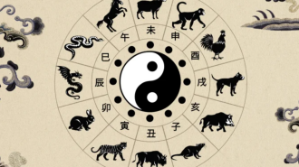Східний (китайський) гороскоп, зображення з вільних джерел
