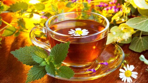 Не болей: 5 травяных чаев, которые могут побороть симптомы простуды