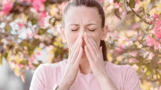 Аллергия на пыльцу: эксперты назвали симптомы и способы облегчить жизнь аллергику