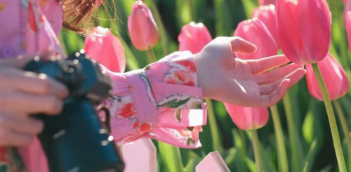 Гороскоп, тюльпани, зображення: Pinterest