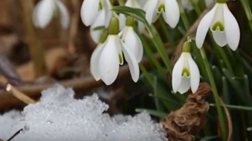 Погода, весна