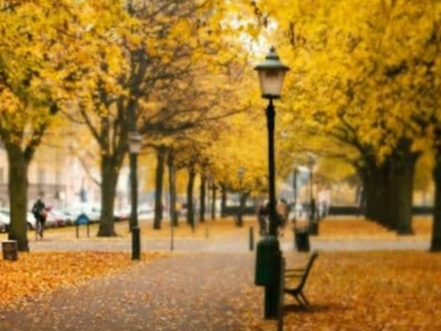 Осінь, погода, гороскоп