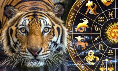 Гороскоп на 2022 рік: що приготував Чорний водяний Тигр для всіх знаків зодіаку
