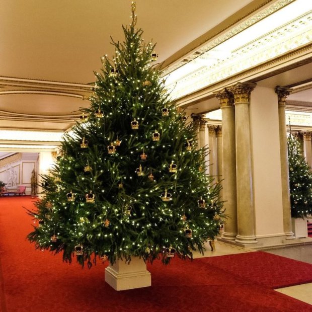 Рождественская елка в Букингемском дворце в 2016 году