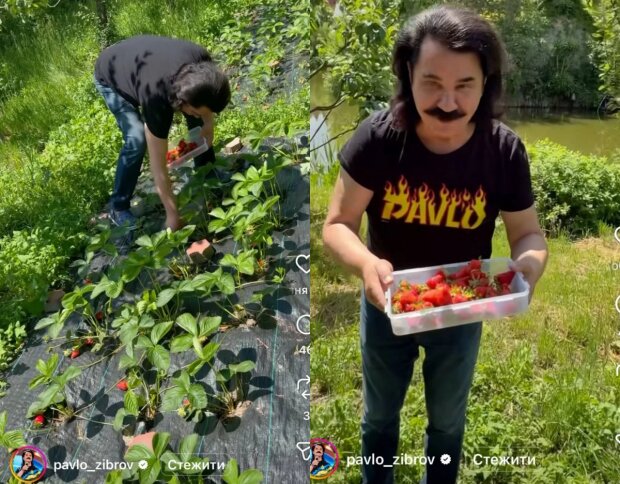 Павло Зібров на городі, кадри з відео