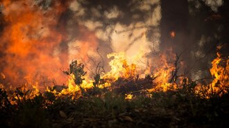 Голова села спалював сміття на кладовищі: в Житомирській області кілька сіл вигоріли вщент