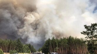 Масштабный пожар в Луганской области: сгорели десятки домов, есть погибшие