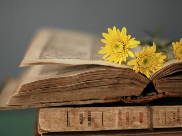 Yellow-flowers-on-the-old-book