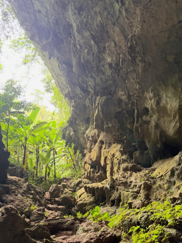 Скрін публікації Даші Трегубової