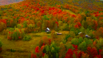Осень, гороскоп