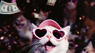 Финансовый гороскоп, деньги, изображение из свободных источников