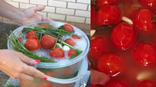 Квашені помідори з секретним інгредієнтом