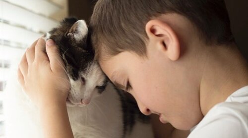 Мальчик с заячьей губой и разноцветными глазами нашел кошку с точно такими же особенностями (ФОТО)