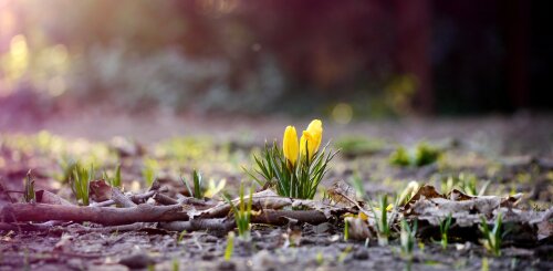 Самый точный прогноз погоды на 26 февраля 2019: Украину настигнет внезапное похолодание и сильный ветер