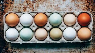 Белые или коричневые: медики рассказали, какие яйца более полезны для здоровья