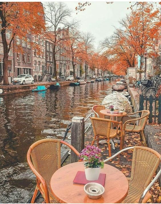 Едем в Европу за красивой осенью: Амстердам