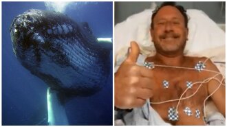 "Я был целиком внутри": американец выжил после того, как его проглотил горбатый кит