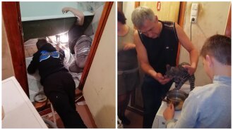 Сверлили бетонные стены и разбирали ванные: как в одном из домов Харькова спасали кота Семена (ФОТО)