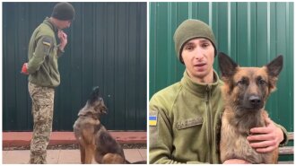 Овчарка-"патриот" взорвала Сеть новым видео и стала звездой ТикТока