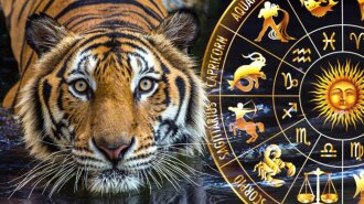 Гороскоп на 2022 год: что приготовил Черный Водяной Тигр для всех знаков зодиака