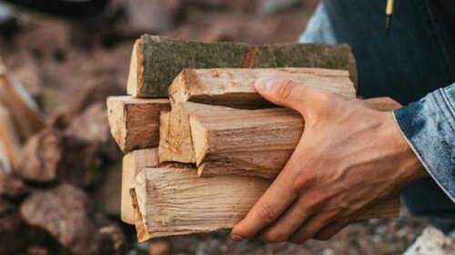 Бесполезно потрачены деньги: какие дрова горят в печи, но не дают тепла