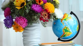 День учителя 2018: когда будет и что дарить